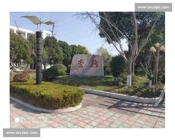 重庆市奥数竞赛精彩纷呈 培养数学人才助力未来发展 重庆市奥数竞赛精彩纷呈 培养数学人才助力未来发展